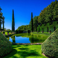 Taille de haie et arbres fruitiers 